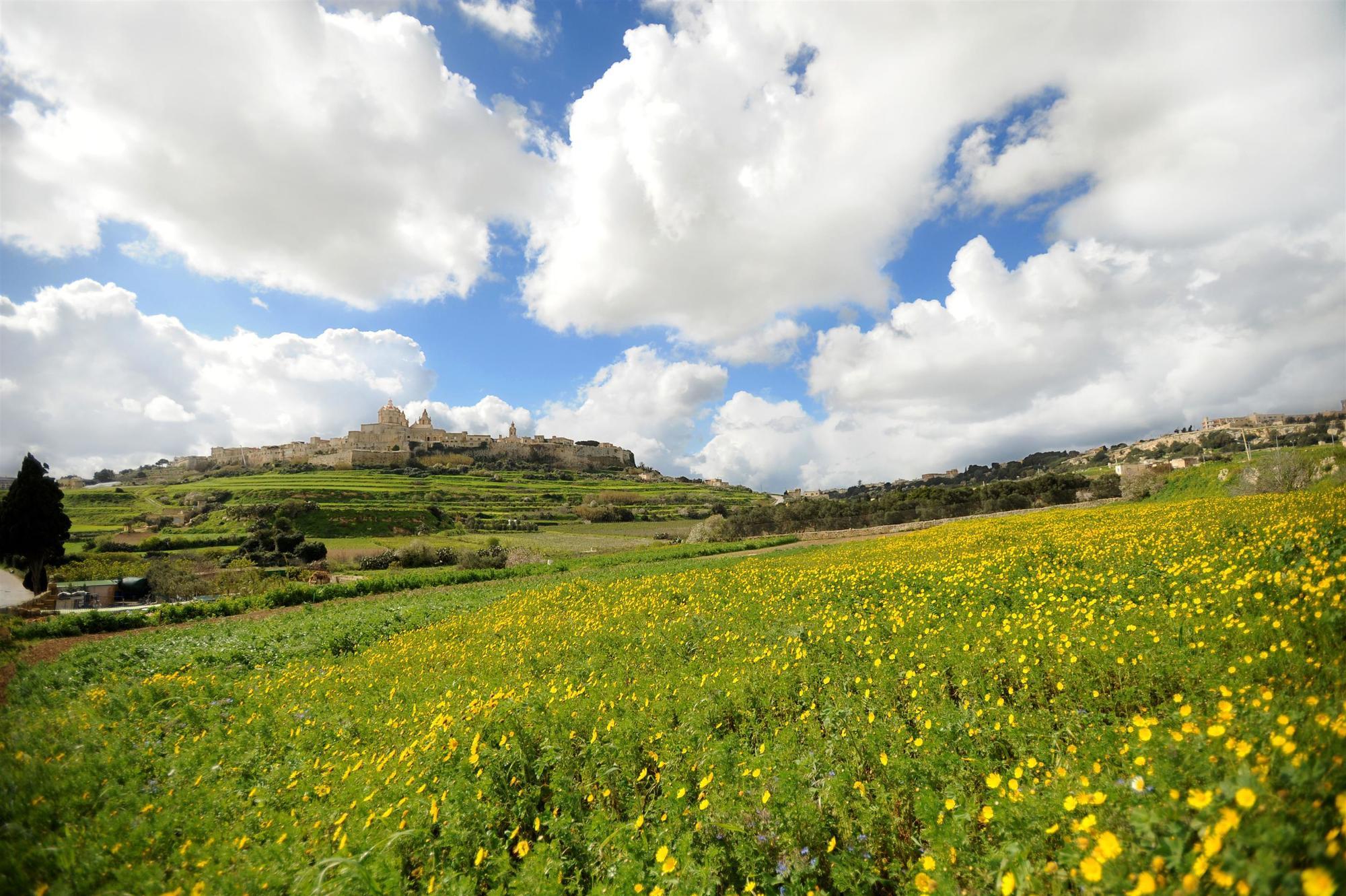The Westin Dragonara Resort, Malta Hotel Saint Julian's